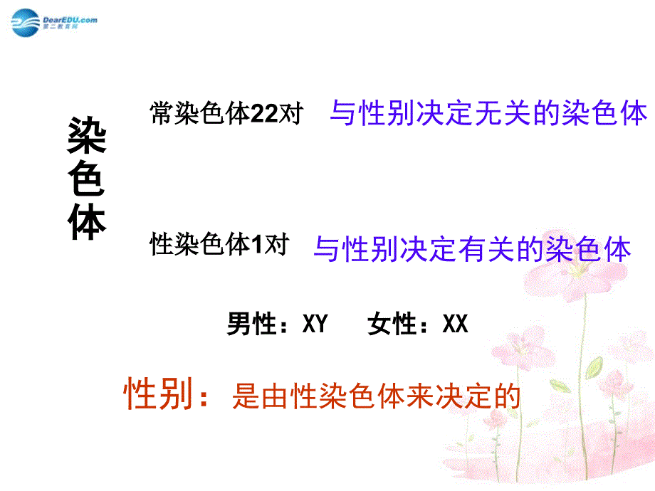 八年级生物下册 第二十二章 第三节 人的性别决定课件3 （新版）苏教版_第4页