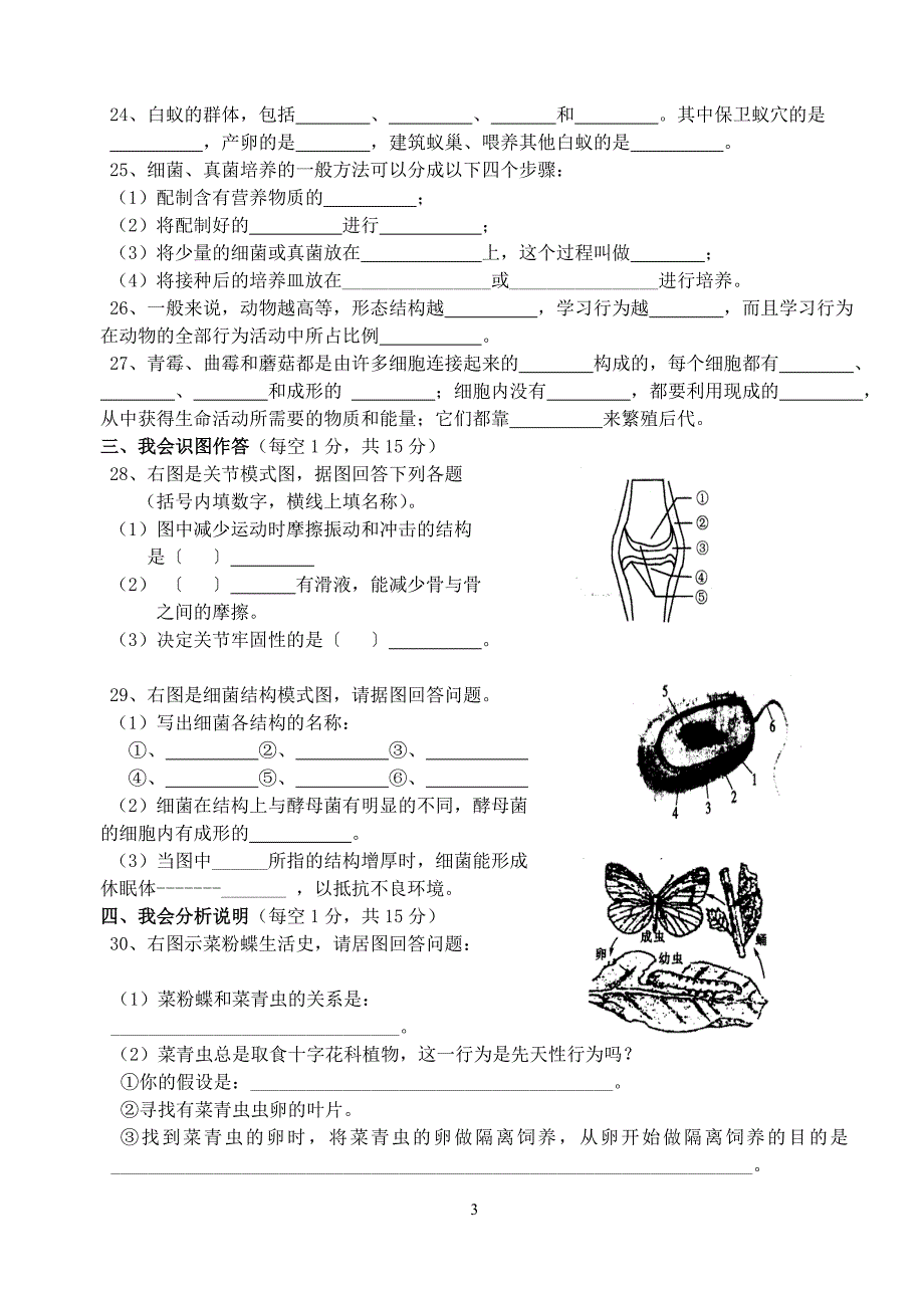 白湖镇顺港中学20062007学年度第一学期期中测试_第3页