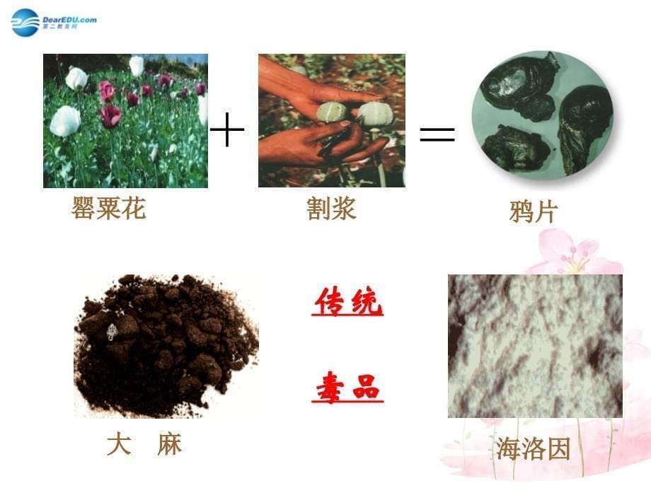 八年级生物下册 第二十六章 第二节 拒绝毒品课件3 （新版）苏教版_第5页