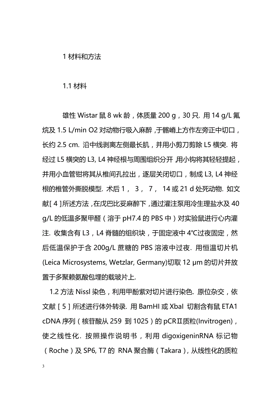 脊神经根性撕脱伤所致脊髓运动神经元中Eta_第3页