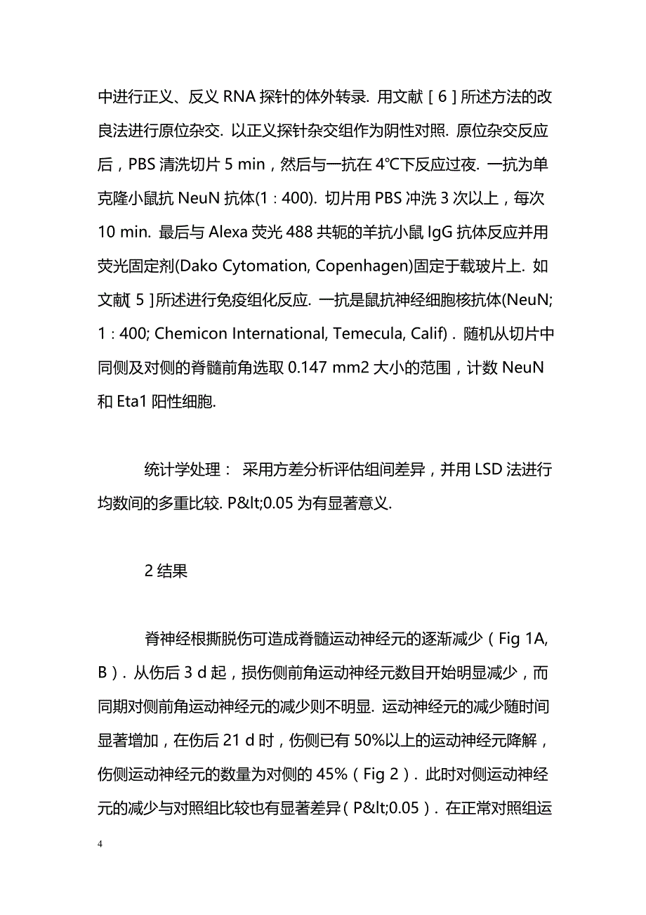 脊神经根性撕脱伤所致脊髓运动神经元中Eta_第4页