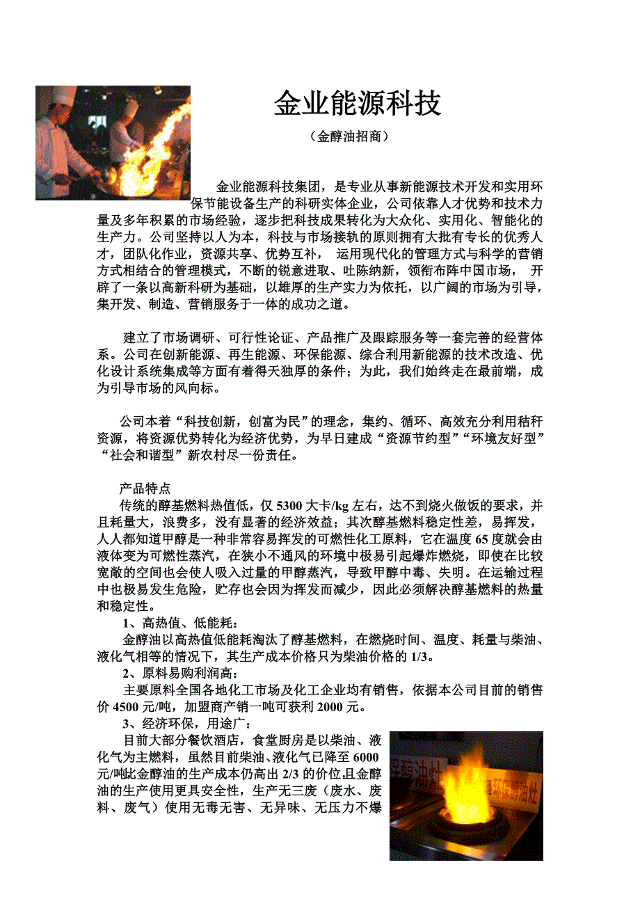 金醇油醇基燃料_第1页