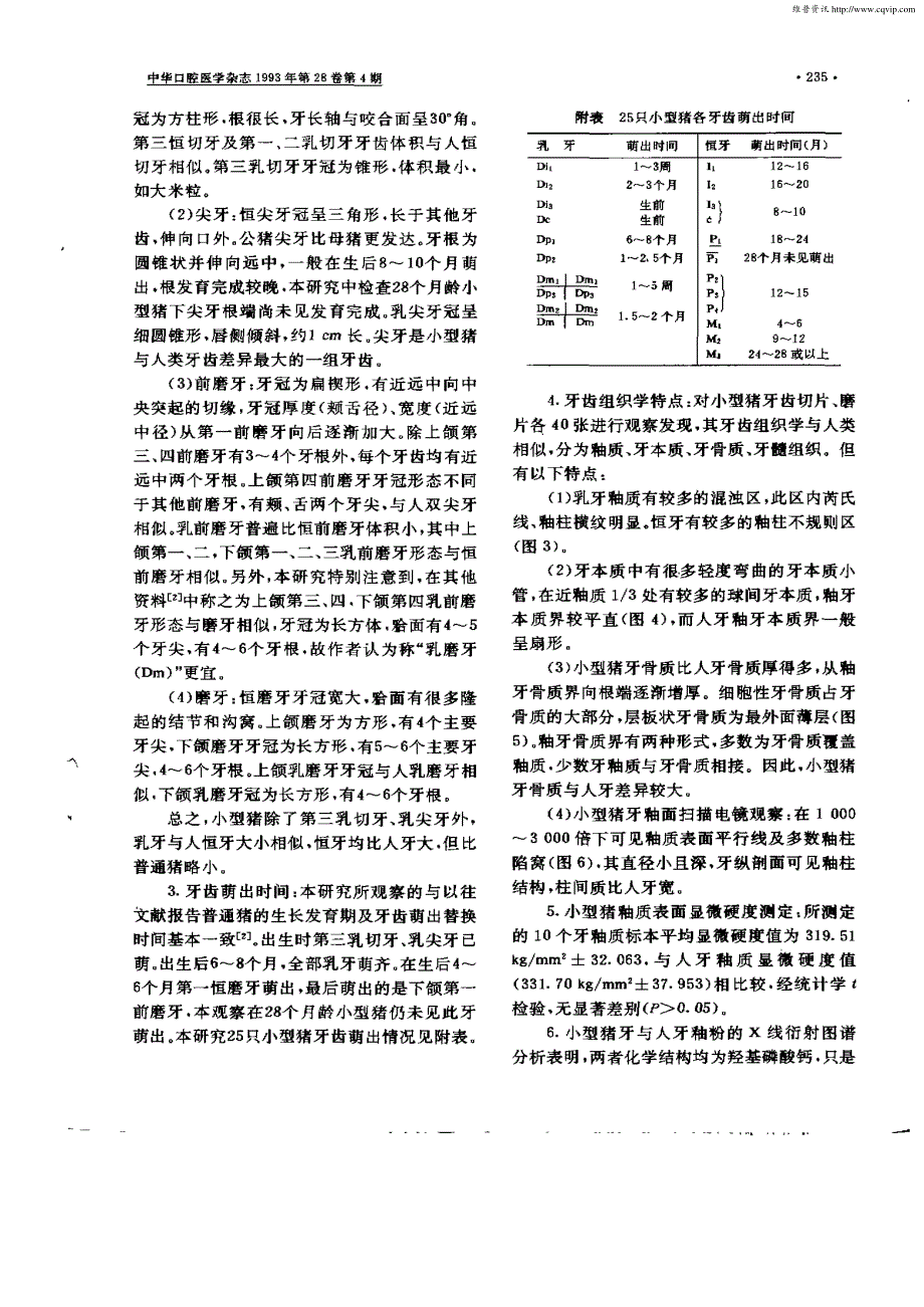 实验用小型猪牙颌系统解剖组织学特点_第2页