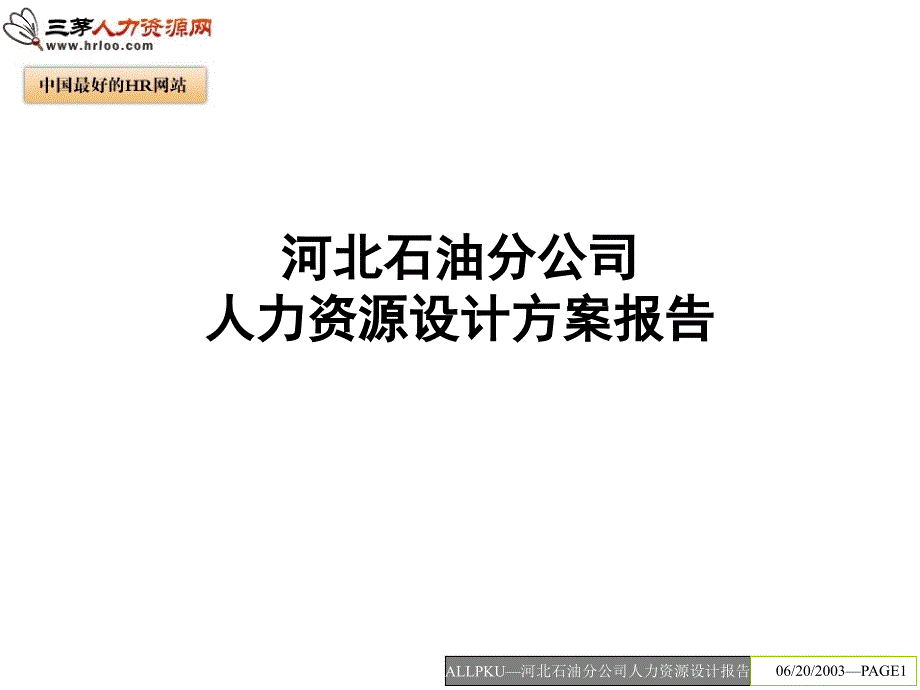 河北石油人力资源设计方案报告_第1页