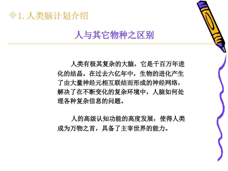 从“人类脑计划”到计算神经科学_第5页