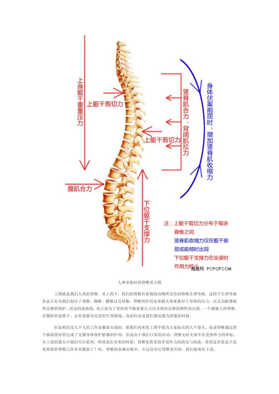 正确坐姿和腰椎保护_第2页