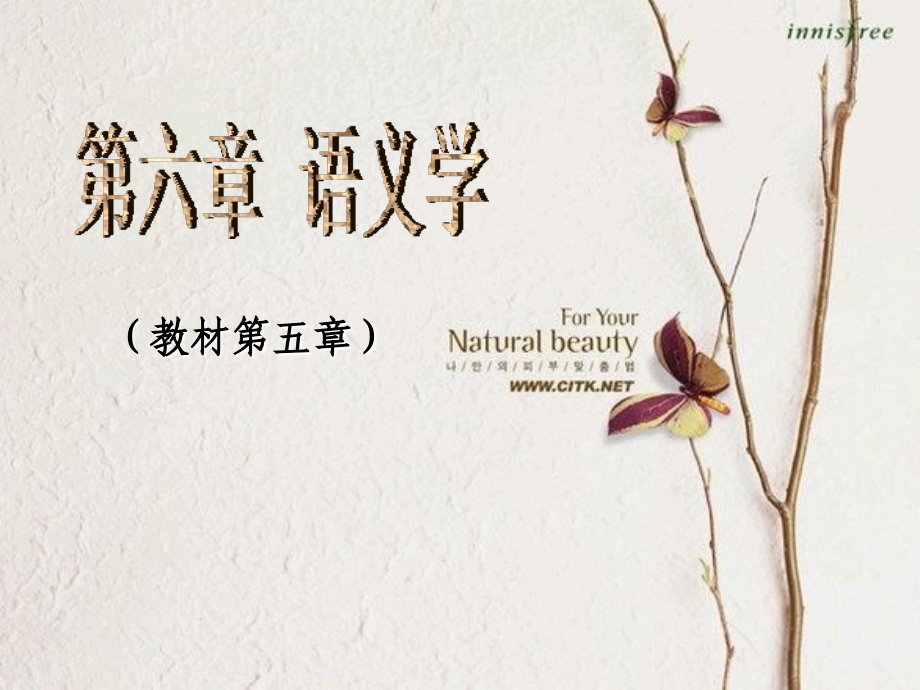 语言学概论教案-6语义学_第1页