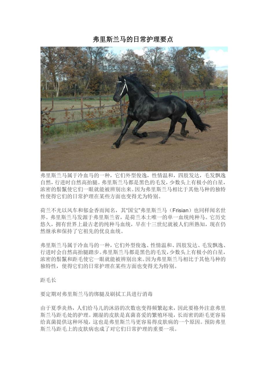 弗里斯兰马的日常护理要点_第1页