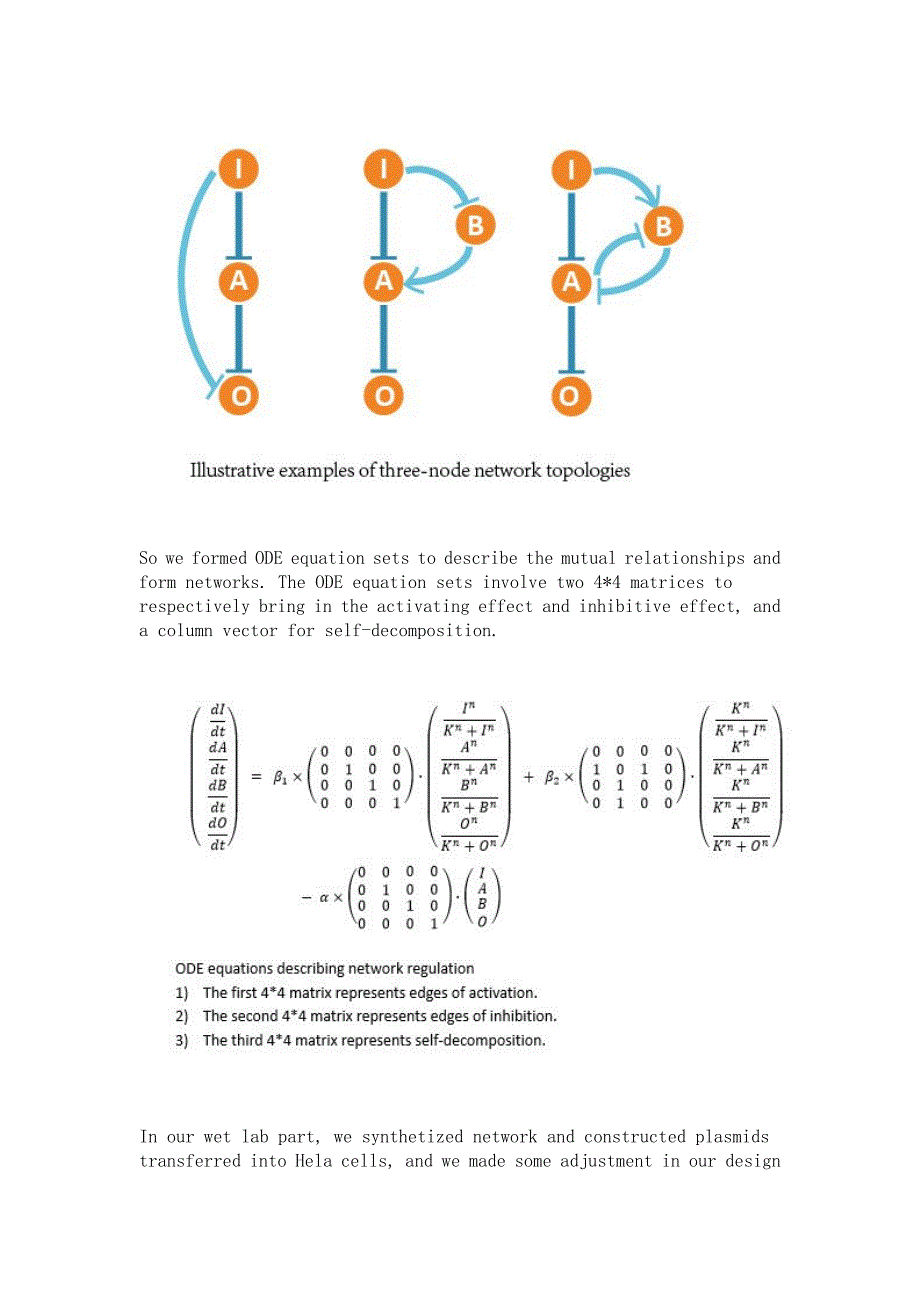 Construction of Networks And Mathematical Description_第2页