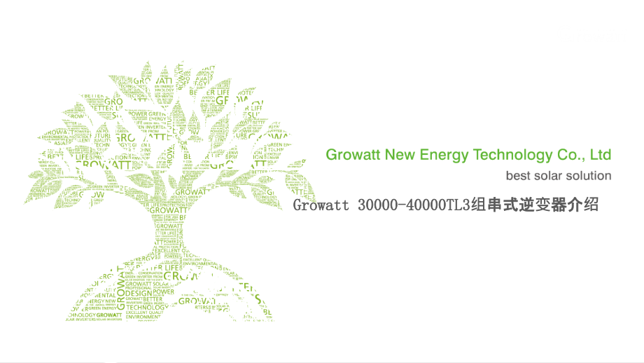 Growatt30_第1页