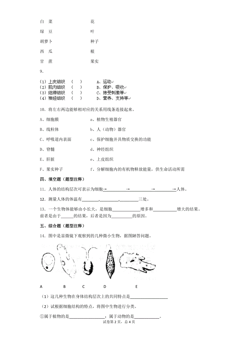 细胞怎样产生物体(有解析)_第2页