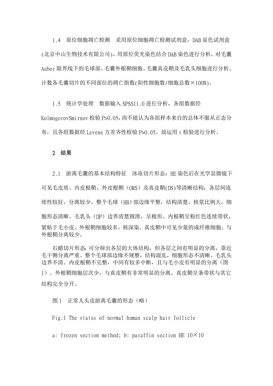 离体毛囊切片两种制作方法的比较及凋亡检测【临床医学论文】_第3页