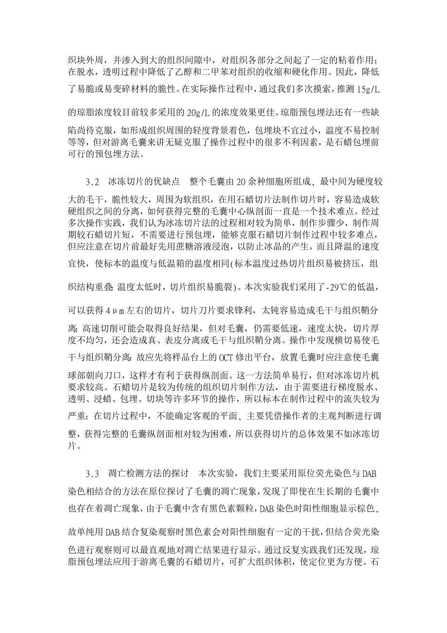 离体毛囊切片两种制作方法的比较及凋亡检测【临床医学论文】_第5页