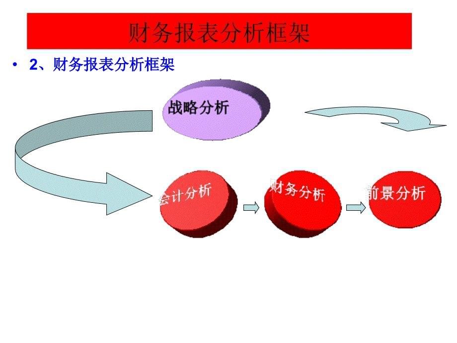 财务报告分析框架2011.9_第5页