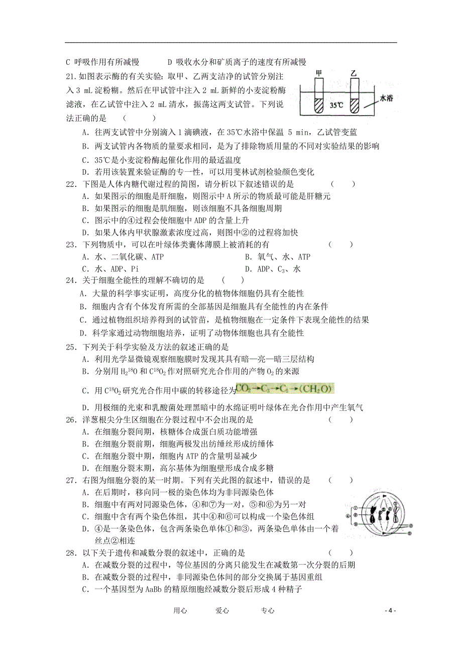 安徽省蚌埠市2013届高三生物上学期期中考试（无答案）_第4页