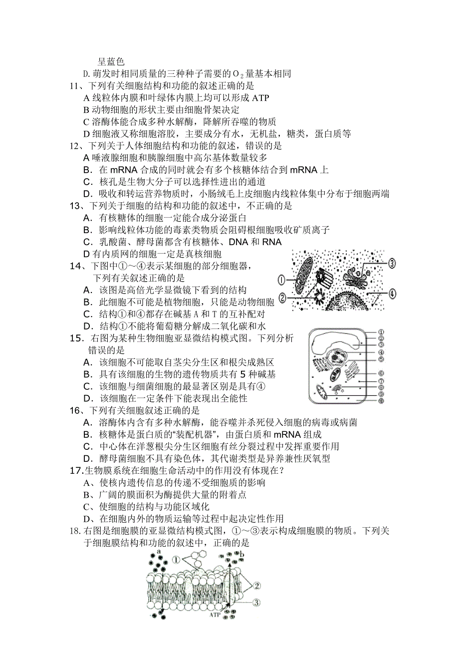 高中生物必修1第一至第四章测试题_第2页