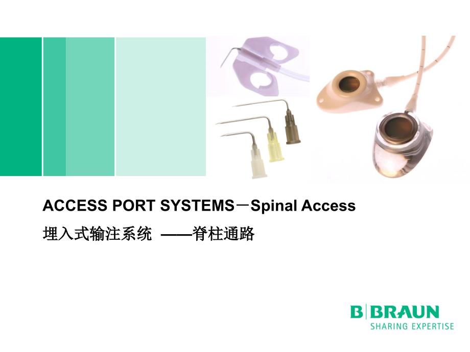 埋入式输注系统之椎管内通路药盒_第1页