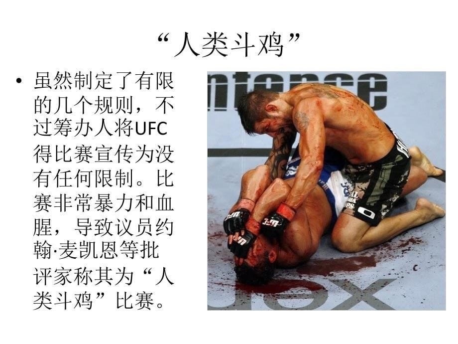 恐惧的UFC无限制格斗_第5页