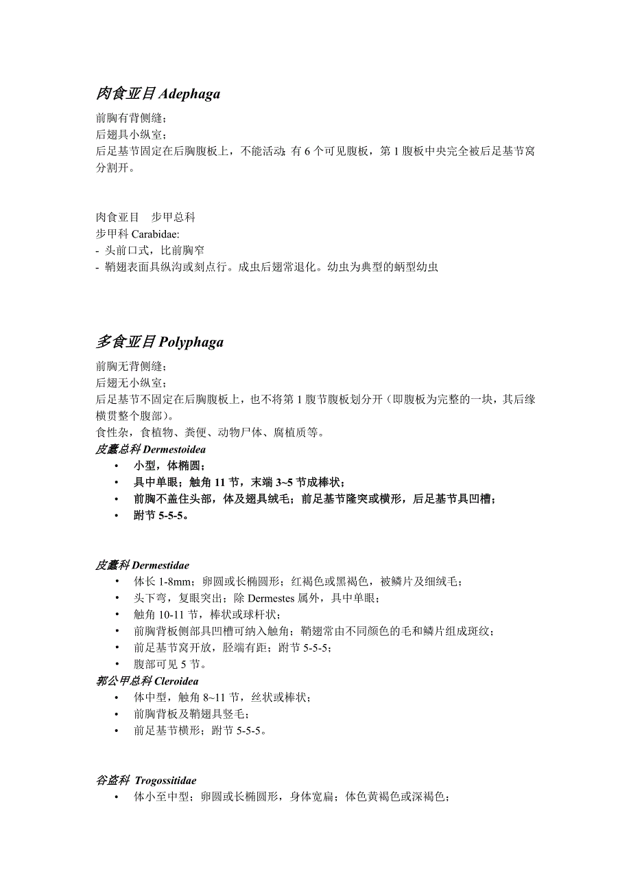 肉食亚目Adephaga_第1页