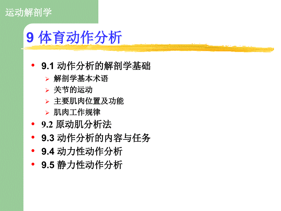 体育动作分析_第2页