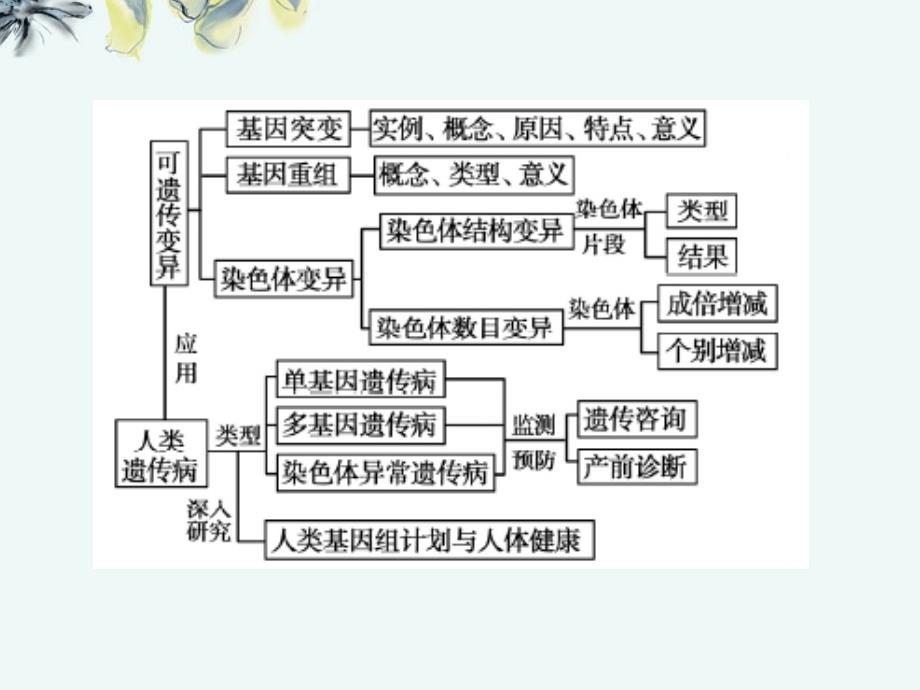 【立体设计】2012高考生物 第5章第1讲 基因突变和基因重组知识研习课件 新人教版必修2_第2页