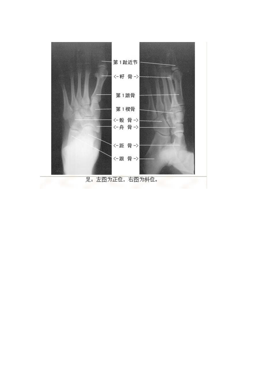 XCTMRI_第5页