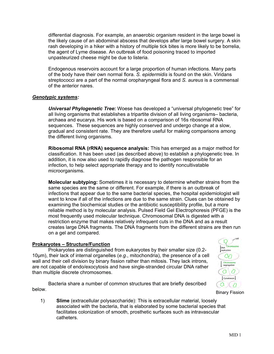 Bacterial Classification, Structure and Function（细菌的分类、结构和功能）_第3页