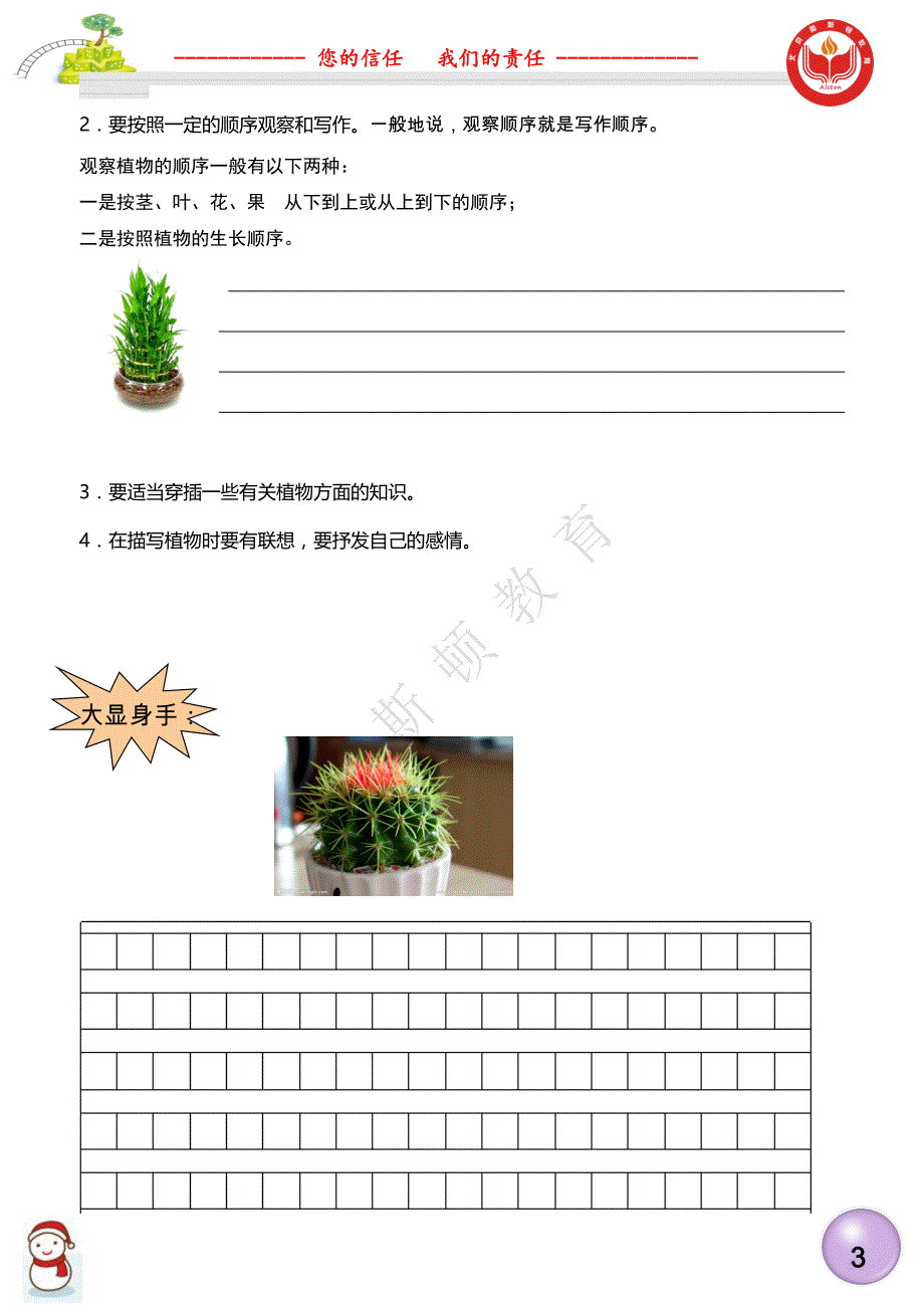 二年级会写植物_第3页