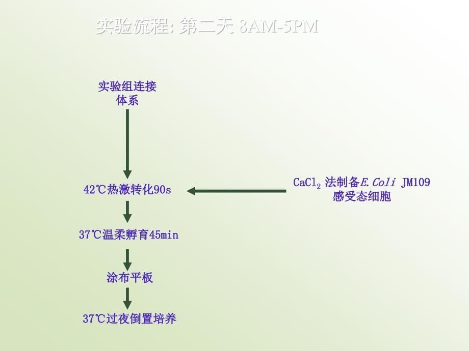 改分子生物学实验-实验操作1_第5页