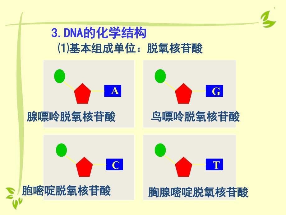 专题4核酸糖类脂质_第5页