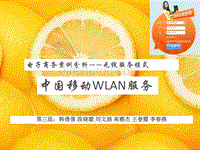 中国移动WLAN服务-无线服务模式