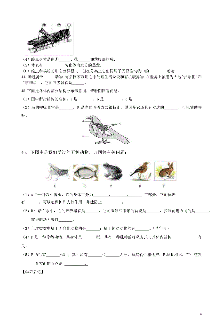 动物的主要类群复习_第4页