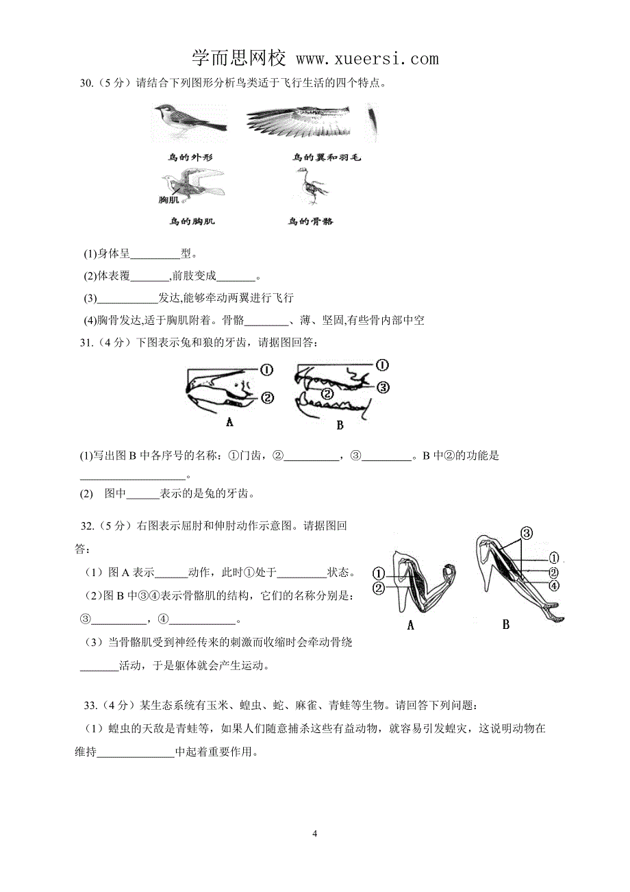 福建云霄元光中学2013-2014学年上学期八年级生物期中试卷_第4页