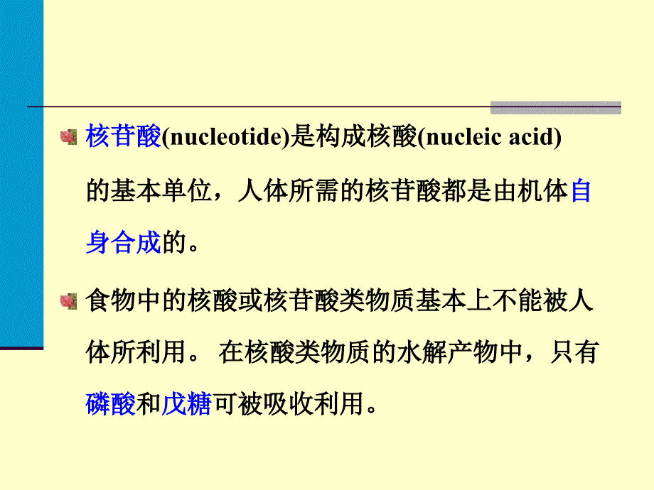 核苷酸代谢08Nucleotids_第2页