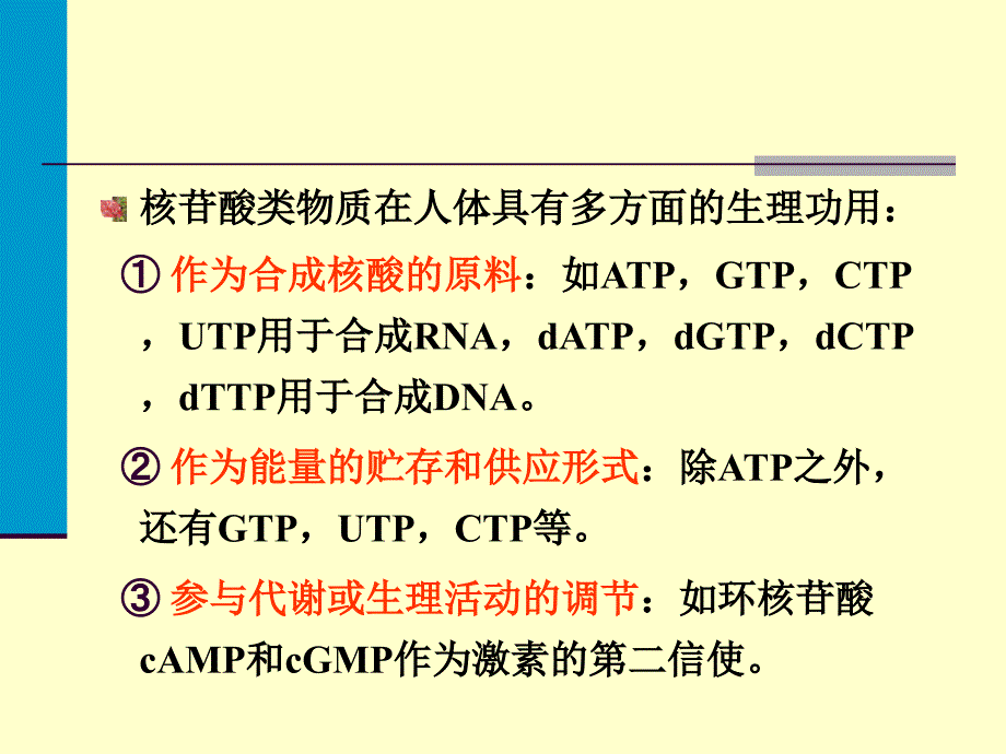 核苷酸代谢08Nucleotids_第4页