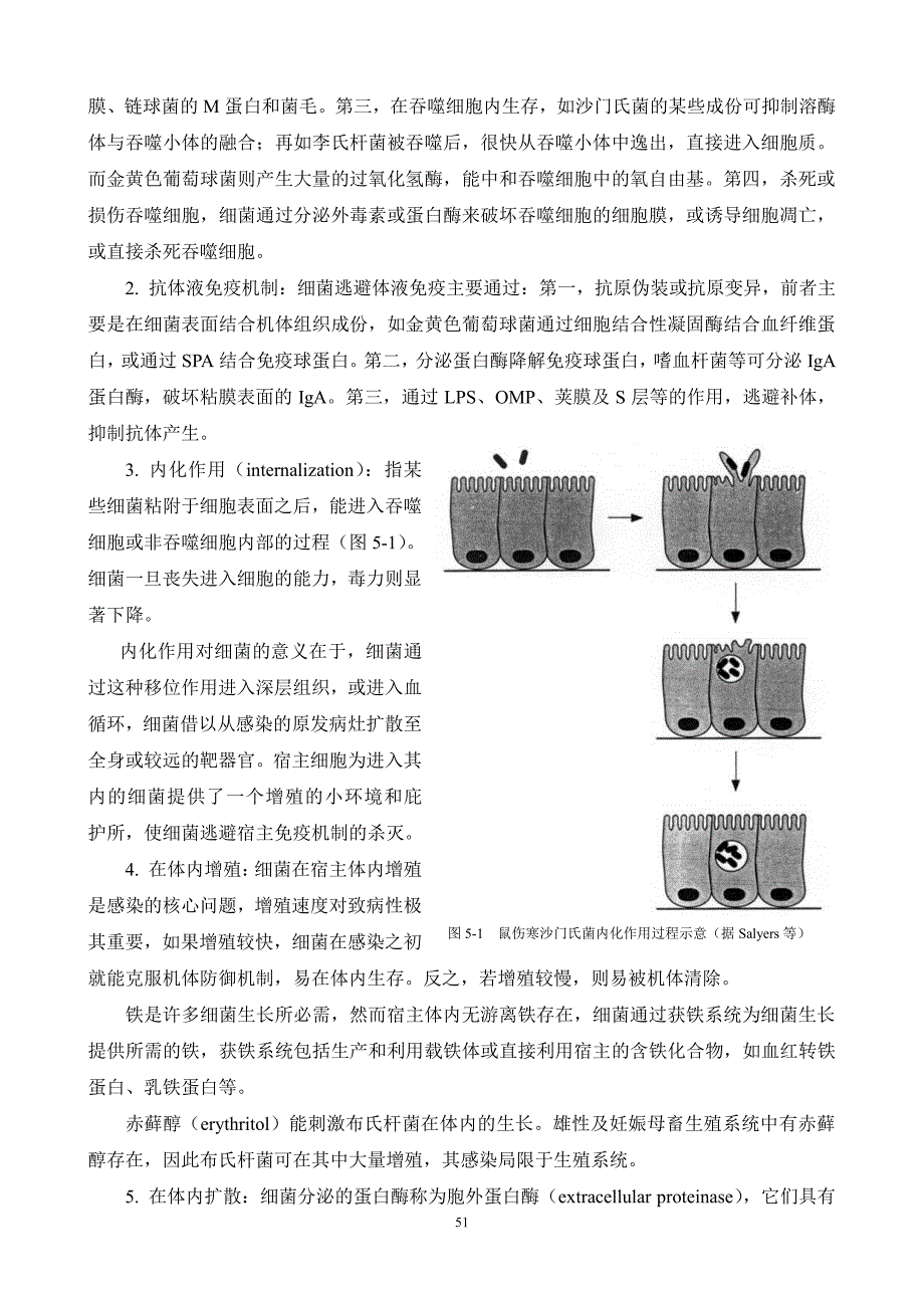 7第七章  微生物的感染与致病-4_第1页