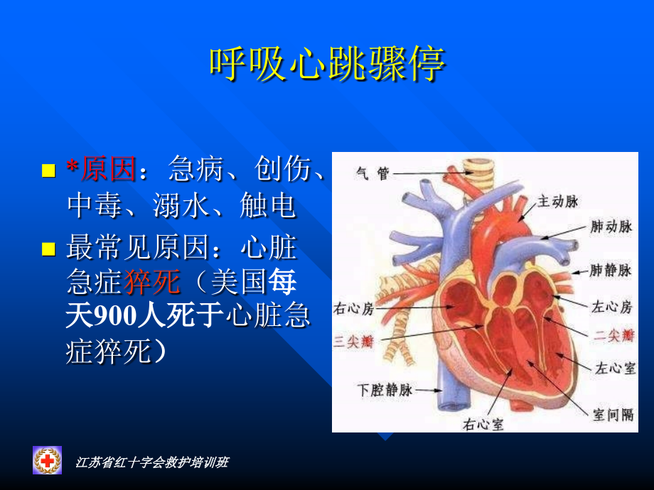 CPR(讲座)_第4页