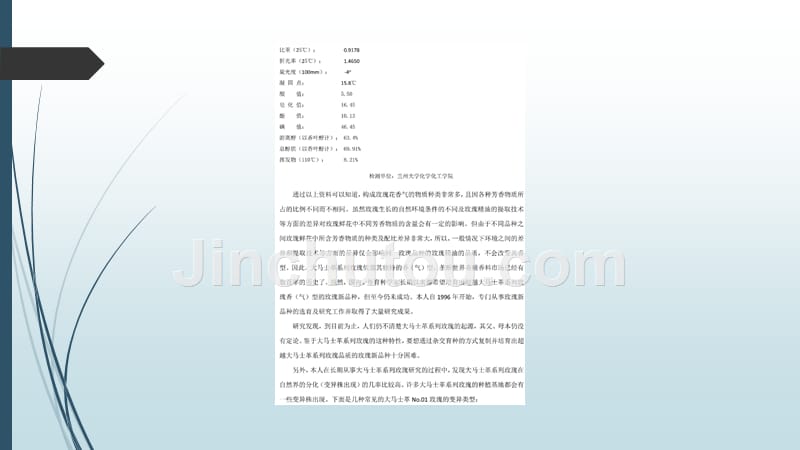 世界上最好的大马士革玫瑰新品种培育成功_第4页