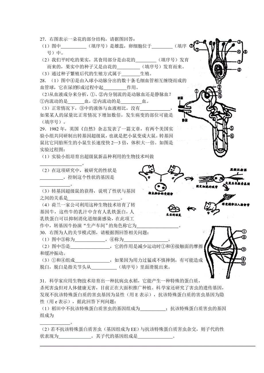 湖南省娄底市2012年学业考试生物试题_第4页