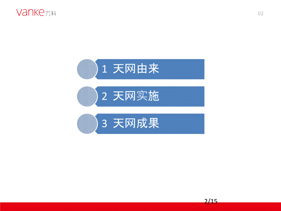 03天网行动总结20151015(修)_第2页