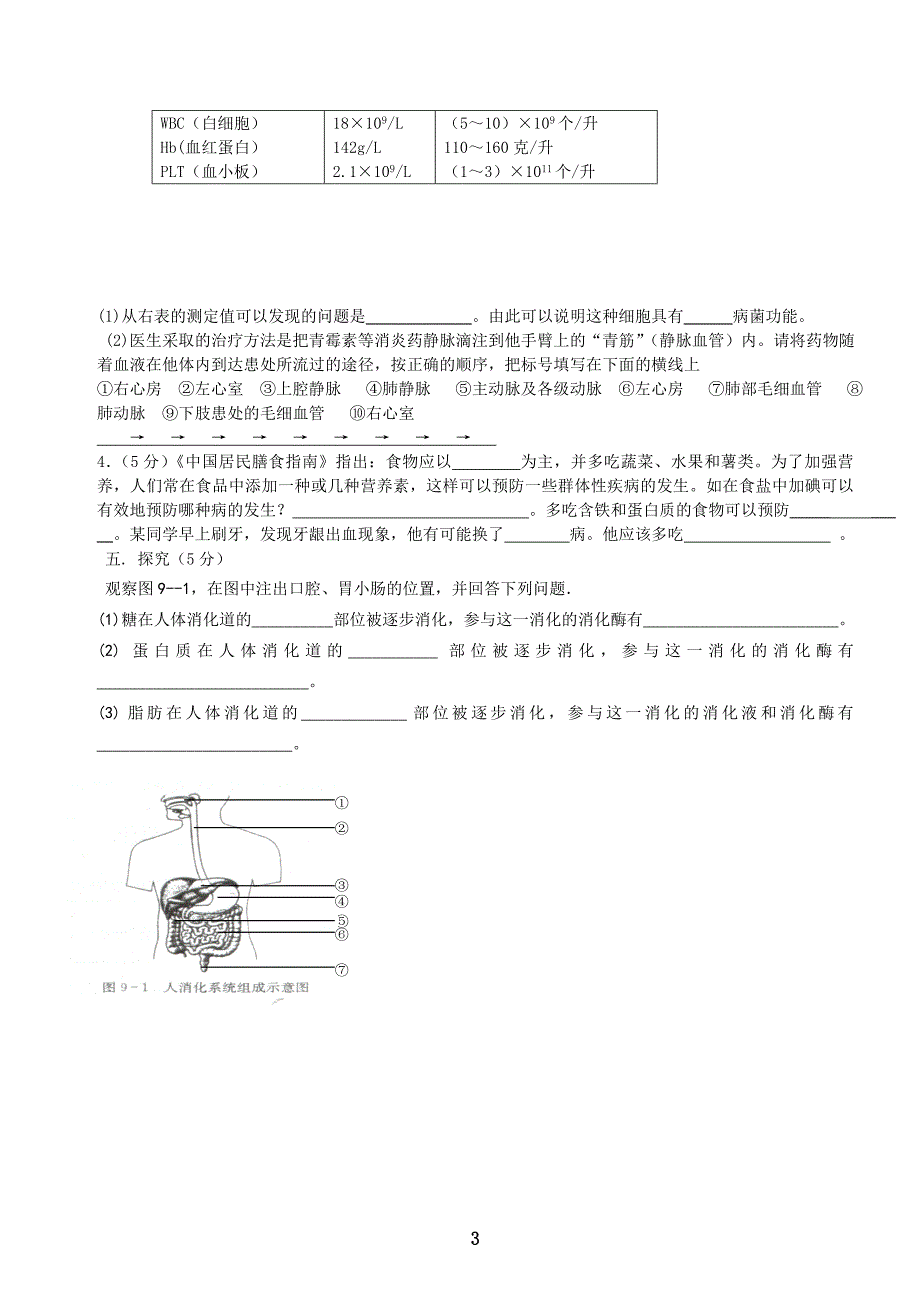 苏教版七年级生物下册期中考试试卷及答案_第3页