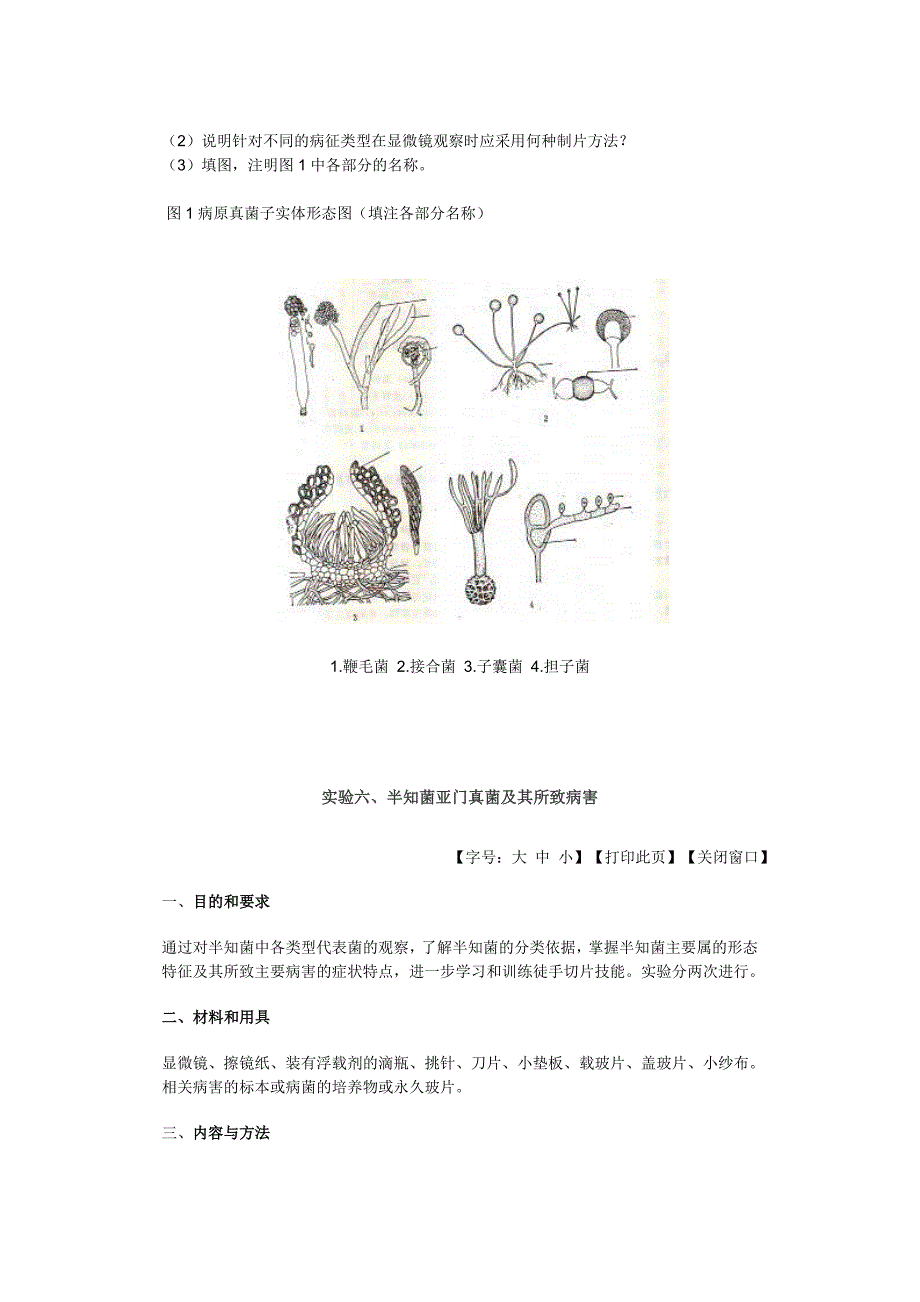 普通植物病理学实验_第4页