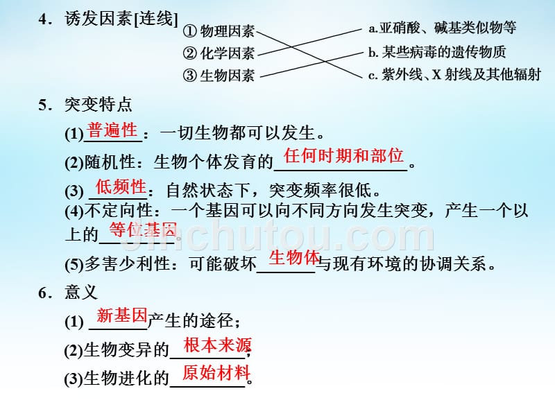 2017届一轮复习 第七单元 第1讲 基因突变和基因重组_第4页