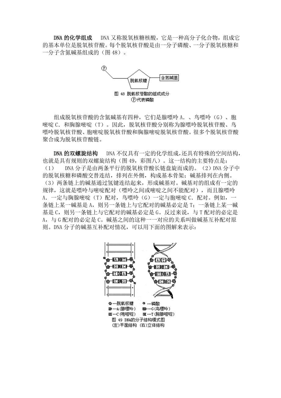 电子课文·第五章_第5页