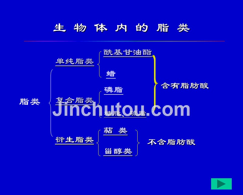 第6章脂代谢_第3页