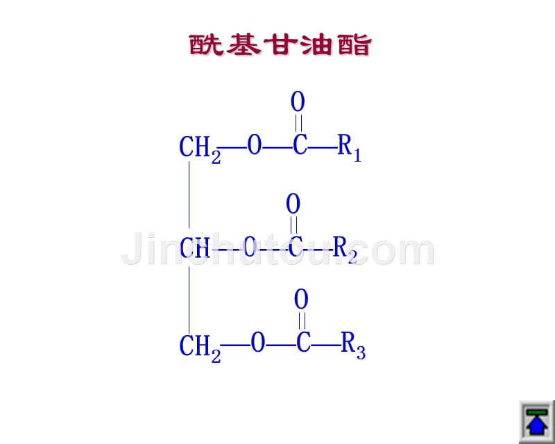 第6章脂代谢_第4页