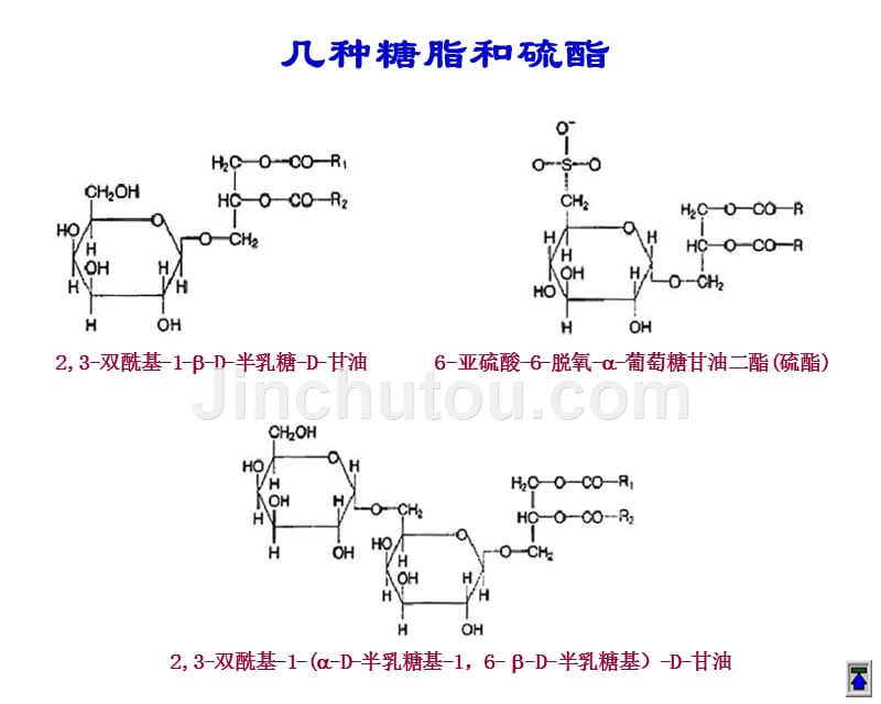 第6章脂代谢_第5页