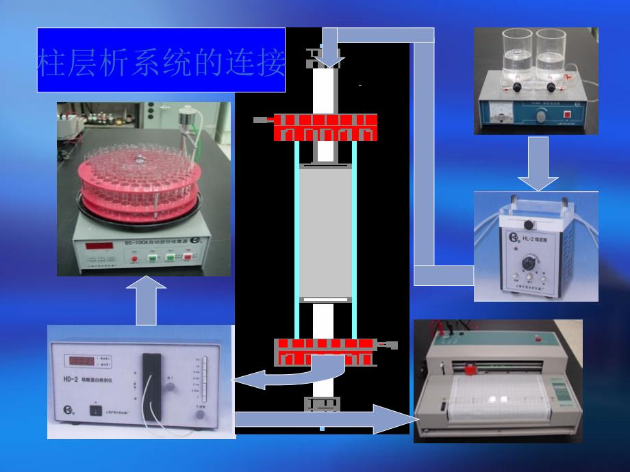 离子交换柱层析法分离氨基酸_第3页