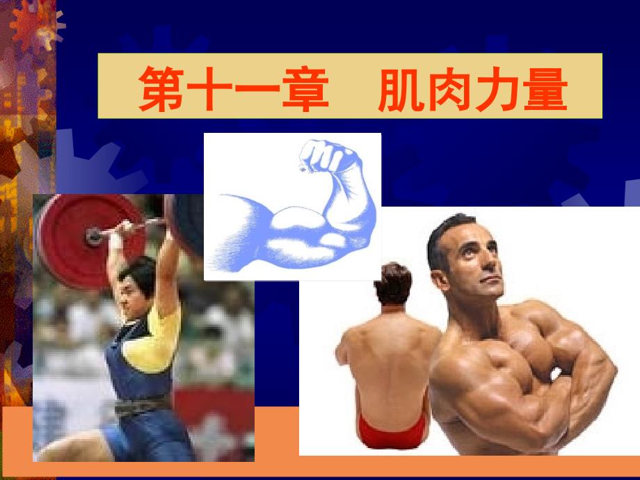 王步标版运动生理学 第十一章 肌肉力量_第1页