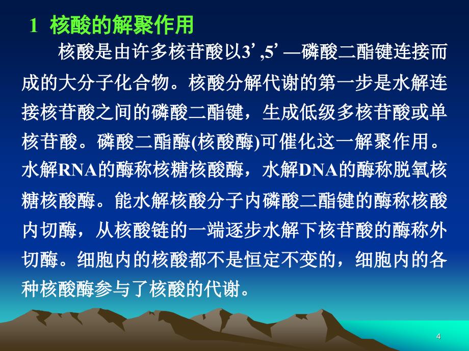 第13章核酸和核苷酸代谢_第4页